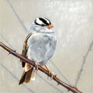 w-c-sparrow