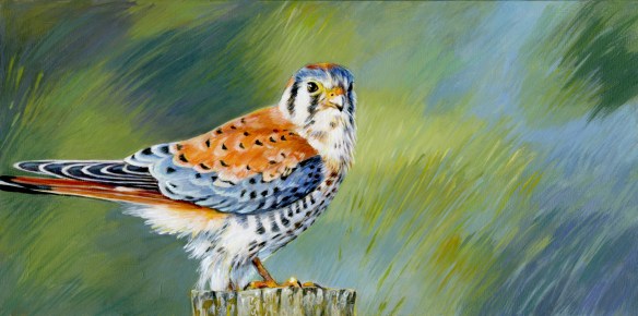kestral